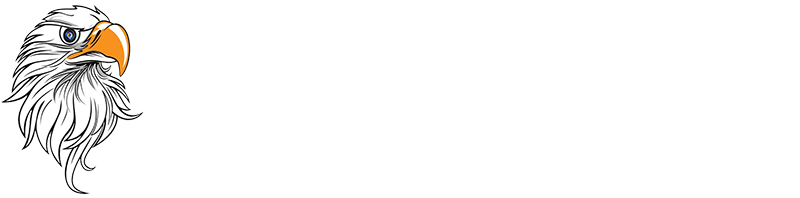 Eagle Eye Security Systems